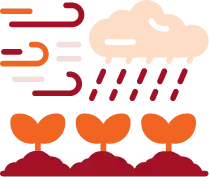 An illustration showing weather elements, including wind and rain, affecting crops represented by three seedlings growing in soil. The image uses stylized lines and shapes to depict wind, a rain cloud, and droplets falling onto the seedlings, highlighting the interaction between weather and agriculture.