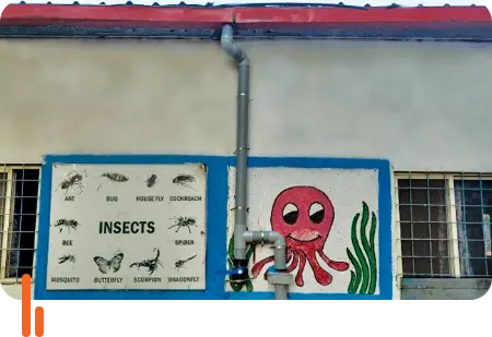  A photograph showing rainwater harvesting pipes installed on the side of a building at an Army Public School in Pune, Maharashtra. The wall features educational drawings of insects and an octopus, highlighting the integration of sustainable water management practices in educational institutions.